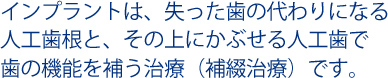 インプラントは、失った歯の代わりになる人工歯根と、その上にかぶせる人工歯で歯の機能を補う治療(補綴治療)です。